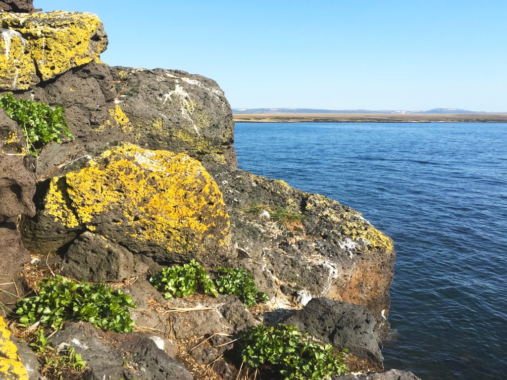 Saying goodbye to&nbsp;Gram