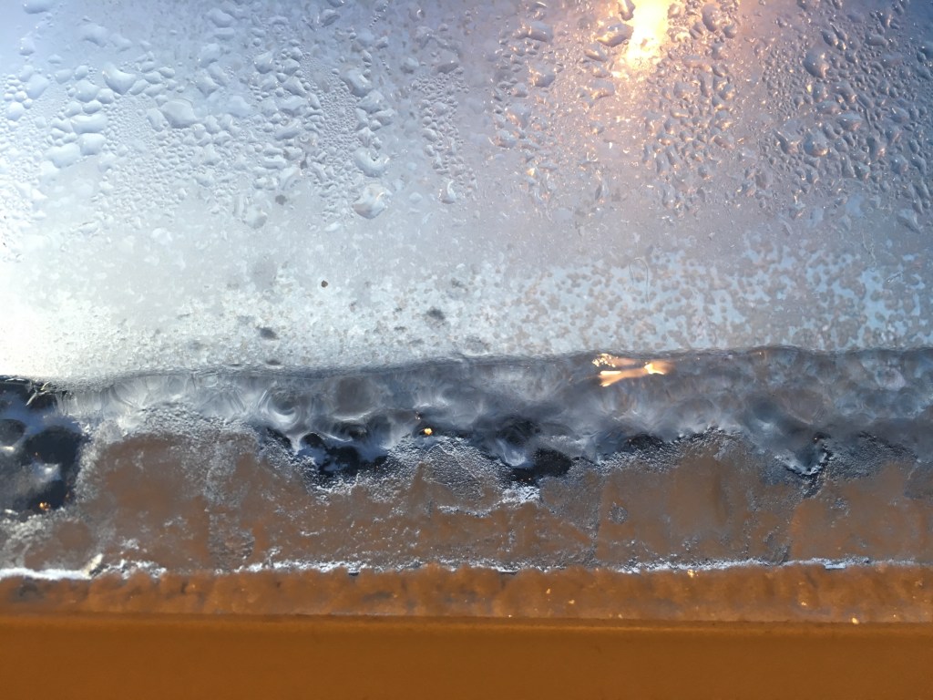 Adii! Take that, tough&nbsp;January.