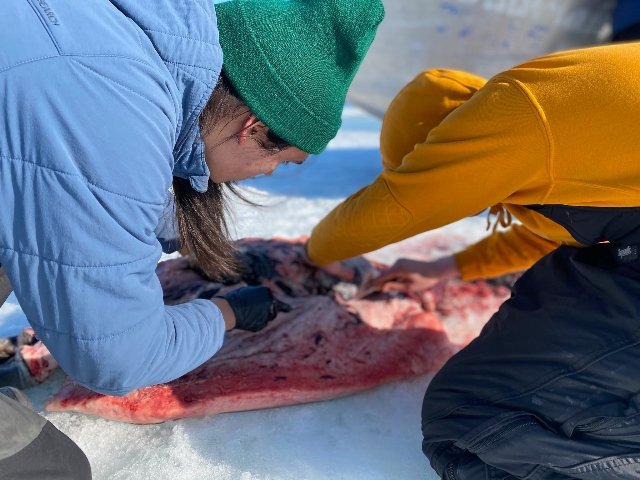 Sacred and significant