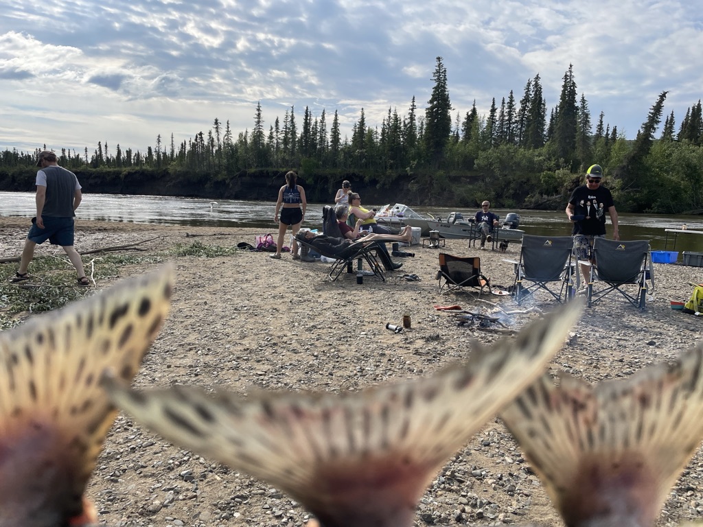 Losing salmon means losing more than just food